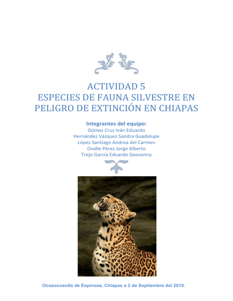 Actividad Especies De Fauna Silvestre En Peligro