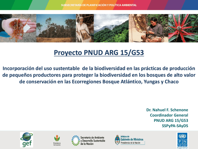 Presentaci N Del Proyecto PNUD ARG 15 G53 Septiembre 2015