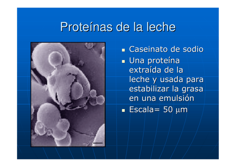 Proteínas de la leche