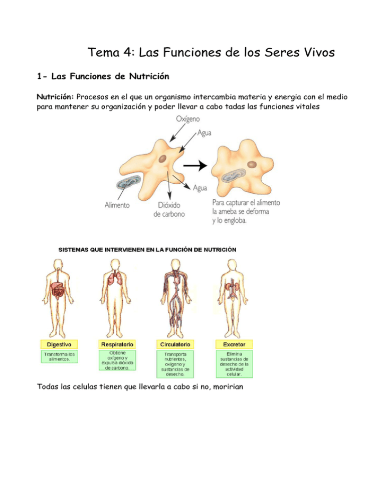 Tema Las Funciones De Los Seres Vivos
