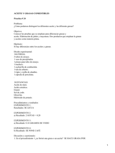 Aceites y grasas industriales