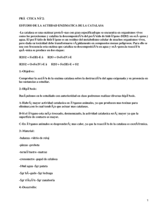 Actividad enzimática de la catalasa