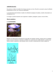 Aeromicología