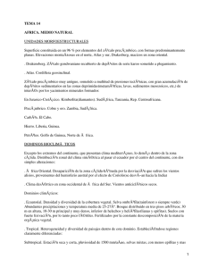 TEMA 14 AFRICA. MEDIO NATURAL UNIDADES MORFOESTRUCTURALES
