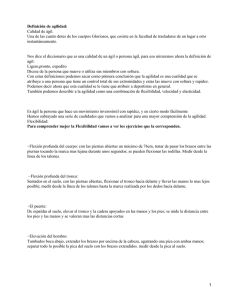Agilidad