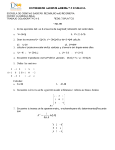 Taller de Álgebra Lineal - UNAD