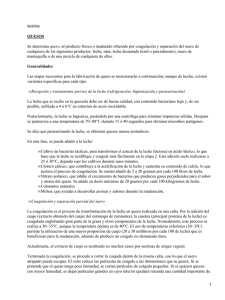 Alimentaria: Los quesos