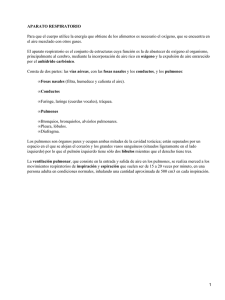 APARATO RESPIRATORIO
