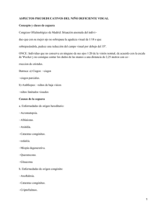 Aspectos psicoeducativos del niño deficiente visual