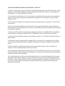 EXAMEN DE BIOLOGÍA MOLECUL4R GRUPO A JUNIO−99