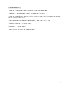 EXAMEN DE BIOLOGIA 2.−DIBUJAR LA MEMBRANA PLASMATICA E INDICAR SUS PARTES