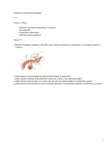 Evaluación Trimestral de Biología 7º 1ª Temas a evaluar: