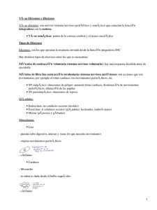 VÃ−as Eferentes y Efectores integradora motora.