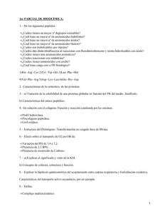 1er PARCIAL DE BIOQUÍMICA: 1.− De los siguientes péptidos: