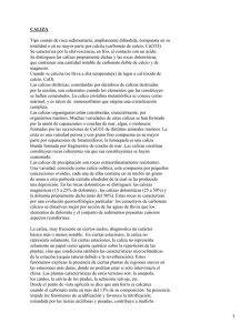 Caliza