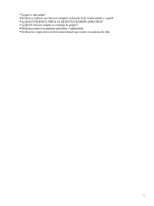 Â¿que es una celula? Â¿QUE FUNCION CUMPLE EL RETICULO ENDOPLASMATICO? •