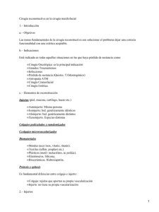 Cirugía reconstructiva maxilofacial