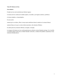 Tema 48. Sistema nervioso. Generalidades.