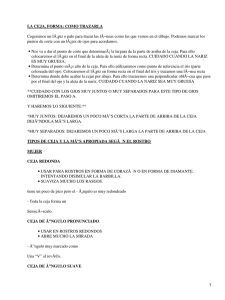 Cómo depilar cejas correctamente