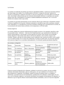 Las Enzimas