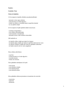 Epitelios