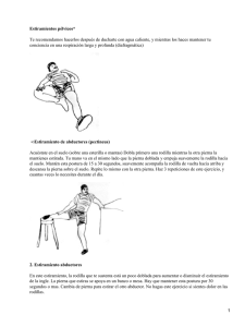 Estiramientos pélvicos