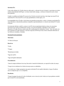 Experimento de Ácidos y Bases