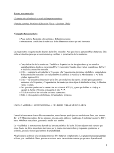 Fisiología del ejercicio físico