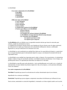 Flexibilidad: Componentes, Tipos y Factores Influyentes