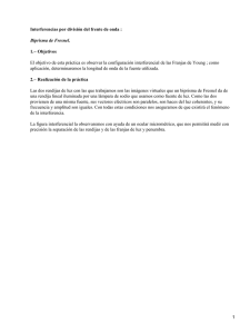 Franjas de Young