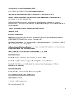 Garantías de los derechos fundamentales