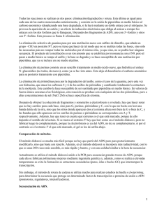 Documento36340 36340