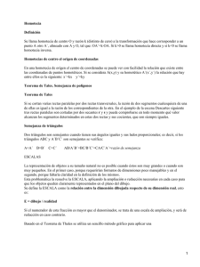 Homotecia
