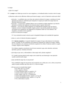 Importancia de la sangre