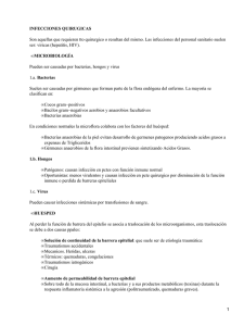 Infecciones quirúrgicas