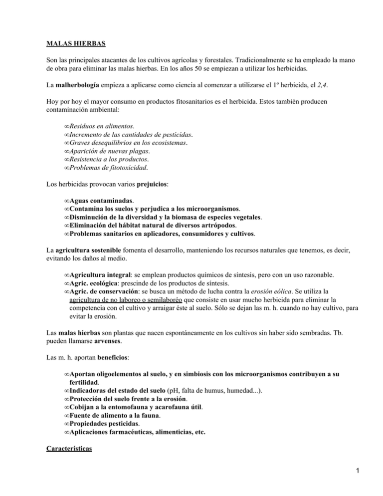 Malas Hierbas