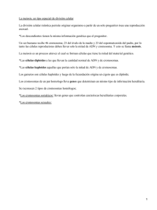 La meiosis, un tipo especial de división celular