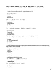 Metabolismo secundario de las plantas