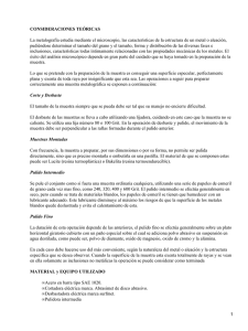 CONSIDERACIONES TEÓRICAS
