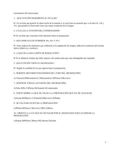Cuestionario del Microscopio: Partes, Función y Resolución