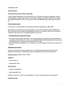 Muestras de la Nariz, Faringe, Nasofaringe y Oído