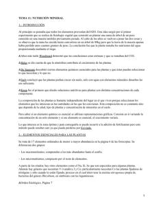 Nutrición mineral