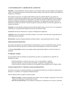 5. TRANSFORMACION Y ABSORCION DE ALIMENTOS Nutrición: