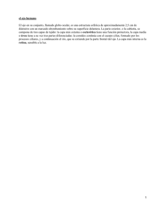el ojo humano