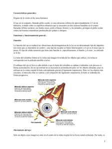 Características generales: Órgano de la visión en los seres humanos