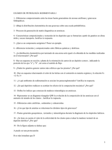 Petrología sedimentaria