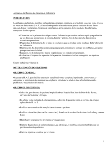 Aplicación del Proceso de Atención de Enfermería INTRODUCCION