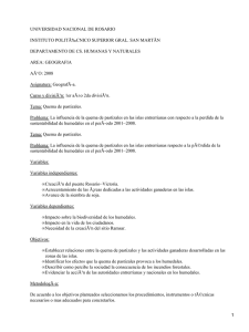 Quema de pastizales