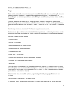 Reinos animales