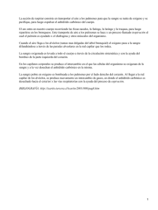 Documento70253 70253